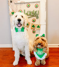 Load image into Gallery viewer, Lucky Charm dog bandana with soft macrame cord tie closure available with or without white ruffle trim
