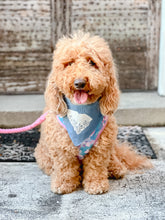 Load image into Gallery viewer, Floral State of South Carolina dog bandana with soft macrame cord tie closure
