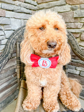 Load image into Gallery viewer, Embroidered Circle Letter Bow Tie made with Alligator hair clip, over the collar or elastic headband
