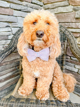 Load image into Gallery viewer, Red, white and blue Bow Tie made with Alligator hair clip, over the collar or elastic headband
