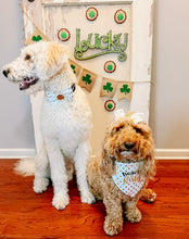 Load image into Gallery viewer, Heart of gold dog bandana with soft macrame cord tie closure
