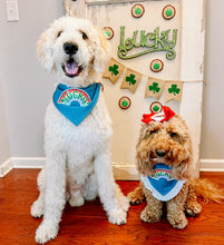 Load image into Gallery viewer, Lucky Rainbow dog bandana with soft macrame cord tie closure available with or without white eyelet lace trim. Look for matching rainbow hair bow and bow tie
