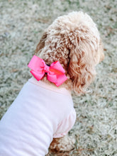 Load image into Gallery viewer, Hot Pink 1.5 in Grosgrain Hair bow  Made with an Alligator Hair clip or elastic headband- Now Available over the collar
