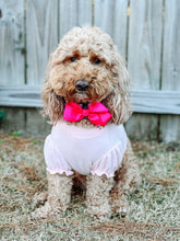 Load image into Gallery viewer, Hot Pink 1.5 in Grosgrain Hair bow  Made with an Alligator Hair clip or elastic headband- Now Available over the collar
