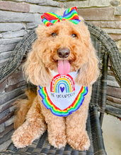 Load image into Gallery viewer, Rainbow Stripe 1.5in Grosgrain Hair bow  Made with an alligator Hair clip or elastic headband
