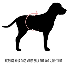 Load image into Gallery viewer, All About Pink Dog Tutu
