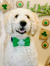 Load image into Gallery viewer, Green Bow Tie with embroidered shamrock center made with Alligator hair clip, over the collar or elastic headband (2 sizes available)
