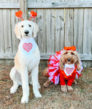 Load image into Gallery viewer, Chevron heart with ruffle dog bandana with soft macrame cord tie closure available with or without ribbon ruffle trim (look for matching bow tie)
