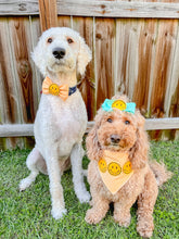 Load image into Gallery viewer, Yellow check Bow Tie with embroidered feltie Smiley Face center made with Alligator hair clip, over the collar or elastic headband (2 sizes available)

