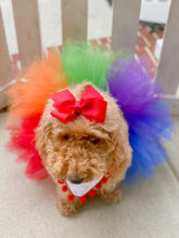 Load image into Gallery viewer, Colors of the Rainbow Dog Tutu
