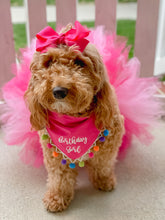 Load image into Gallery viewer, All About Pink Dog Tutu
