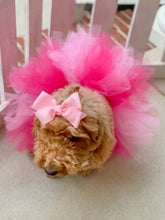 Load image into Gallery viewer, All About Pink Dog Tutu
