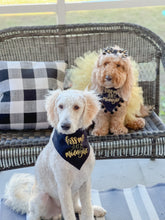 Load image into Gallery viewer, Kiss me at midnight dog bandana with soft macrame cord tie closure available with or without ribbon ruffle trim (Look for matching hair bow)
