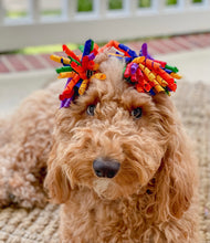 Load image into Gallery viewer, Rainbow Korker Ribbon Hair Bow Made with an Alligator Hair clip or elastic headband
