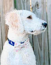 Load image into Gallery viewer, Red plaid Valentine Bow Tie made with Alligator hair clip, over the collar or elastic headband (2 sizes available)

