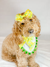 Load image into Gallery viewer, Yellow Roses Pet Bandana with Soft Macrame Cord Tie Closure and FREE PERSONALIZATION
