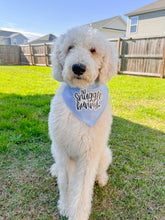 Load image into Gallery viewer, Snuggle bunny dog bandana with soft macrame cord tie closure available with or without eyelet ruffle trim (pink or blue option)
