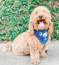 Load image into Gallery viewer, Palmetto Tree Machine Appliqué Dog Bandana with Soft Macrame Cord Tie Closure
