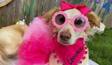 Load image into Gallery viewer, All About Pink Dog Tutu
