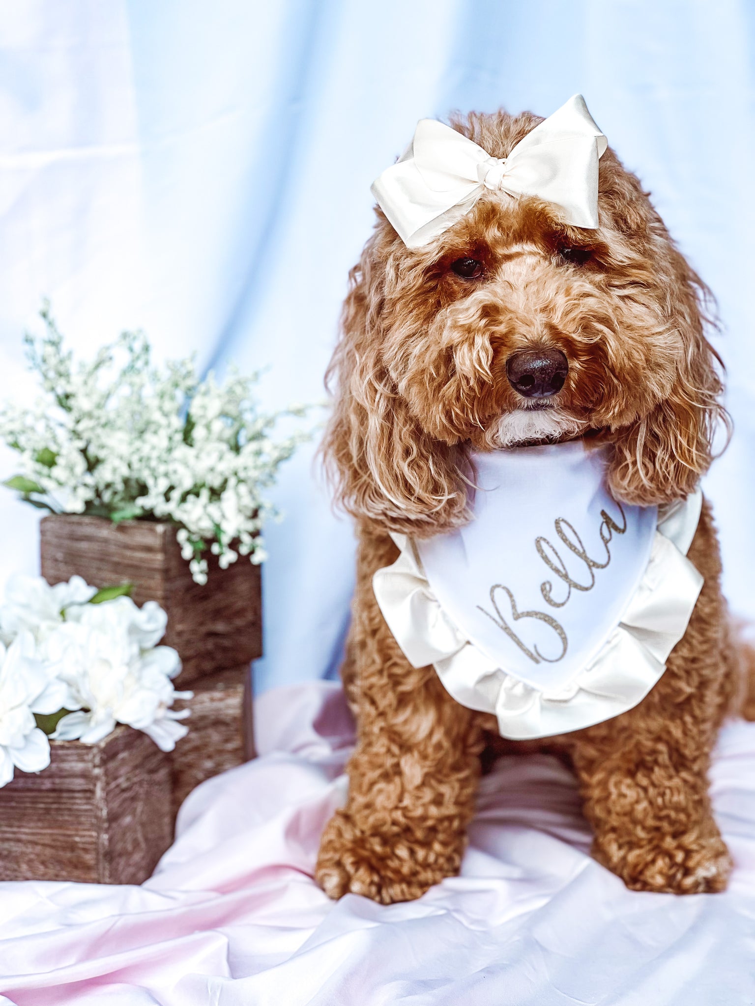 New Gold Velvet With Ruffles Dog Bandana Fancy Bandana Snap 