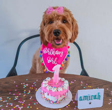 Load image into Gallery viewer, It&#39;s My Birthday Dog Bandana with Soft Macrame Cord Tie Closure
