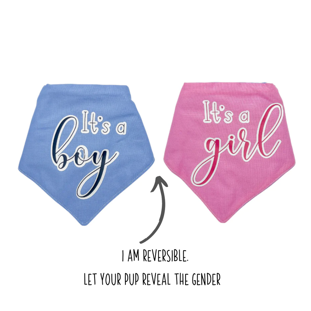 Gender Reveal dog bandana with soft macrame cord tie closure. I AM REVERSIBLE. It's a Girl on one side. It's a Boy on the other side