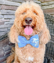 Load image into Gallery viewer, Gender Reveal dog bandana with soft macrame cord tie closure. I AM REVERSIBLE. It&#39;s a Girl on one side. It&#39;s a Boy on the other side
