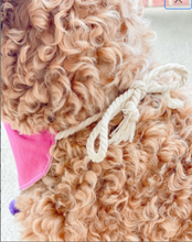 Load image into Gallery viewer, Valentine rainbow applique dog bandana with soft macrame cord tie closure
