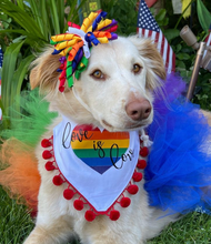 Load image into Gallery viewer, Love is Love Rainbow Heart Dog Bandana with soft macrame cord tie closure available with or without trim
