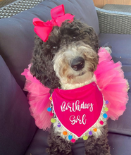 Load image into Gallery viewer, It&#39;s My Birthday Dog Bandana with Soft Macrame Cord Tie Closure
