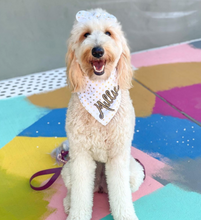 Load image into Gallery viewer, Gold and White Polka Dot Dog Bandana with soft macrame cord tie closure
