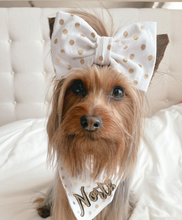 Load image into Gallery viewer, Gold and White Polka Dot Dog Bandana with soft macrame cord tie closure
