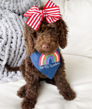 Load image into Gallery viewer, Be The Rainbow Machine Applique Dog Bandana with Soft Macrame Cord Tie Closure
