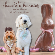 Load image into Gallery viewer, Chocolate bunny Bow Tie made with Alligator hair clip, over the collar or elastic headband (2 sizes available)
