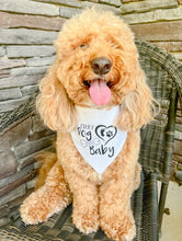 Load image into Gallery viewer, Every Dog Needs a Baby bandana with soft macrame cord tie closure
