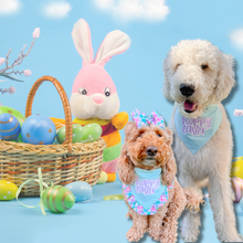 Load image into Gallery viewer, Hoppy Easter dog bandana with soft macrame cord tie closure available with or without ruffle trim (look for matching hair bow)
