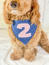 Load image into Gallery viewer, Happy Barkday Number Choice Dog Bandana with Macrame Cord Tie Closure
