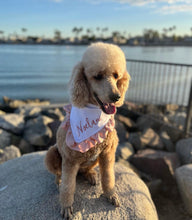 Load image into Gallery viewer, Double Faced Satin Ruffle Dog Bandana with soft macrame cord tie closure. 4 color choices ( Look for matching bows
