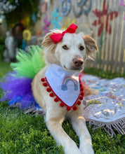 Load image into Gallery viewer, Colors of the Rainbow Dog Tutu
