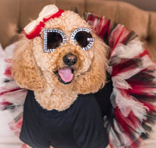 Load image into Gallery viewer, Create your own dog tutu- Choose from 20 tulle colors- Up to three colors per tutu
