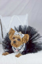 Load image into Gallery viewer, Create your own dog tutu- Choose from 20 tulle colors- Up to three colors per tutu
