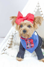 Load image into Gallery viewer, Varsity Letter Bandana on Denim
