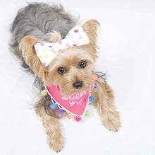 Load image into Gallery viewer, It&#39;s My Birthday Dog Bandana with Soft Macrame Cord Tie Closure
