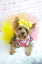 Load image into Gallery viewer, Create your own dog tutu- Choose from 20 tulle colors- Up to three colors per tutu
