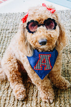 Load image into Gallery viewer, Varsity Letter Bandana on Denim
