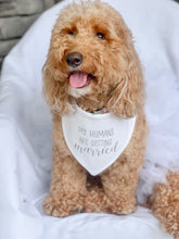 Load image into Gallery viewer, My Humans/ Mom&amp;Dad/ Moms/ Dads Wedding Bandana with soft macrame cord tie closure

