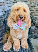 Load image into Gallery viewer, Rainbow Dot Bow Tie made with Alligator hair clip, over the collar or elastic headband

